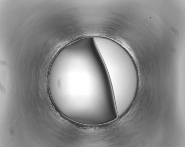 X0000091350385200708101041
