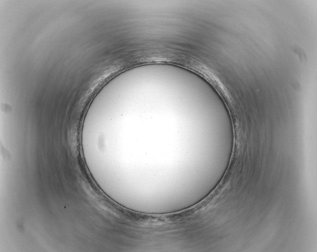 X0000091350386200708101041