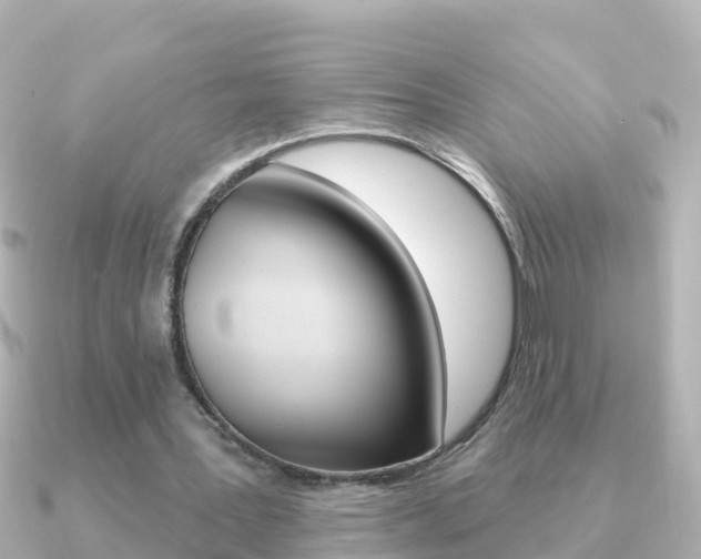 X0000091350387200708101041