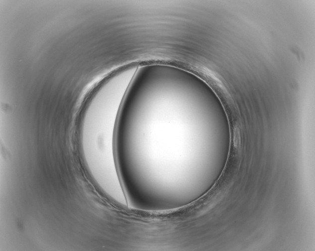 X0000091350388200708101041