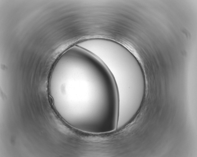 X0000091350389200708101041