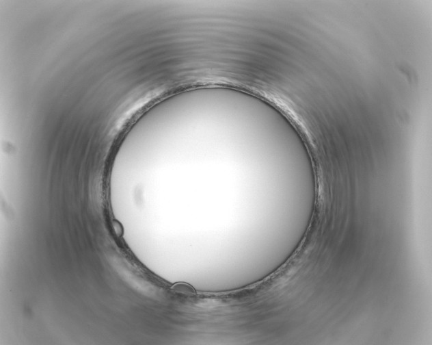 X0000091350390200708101041