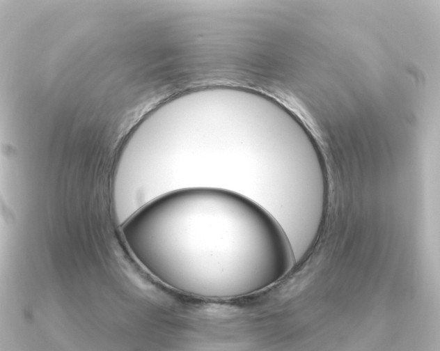X0000091350393200708101041