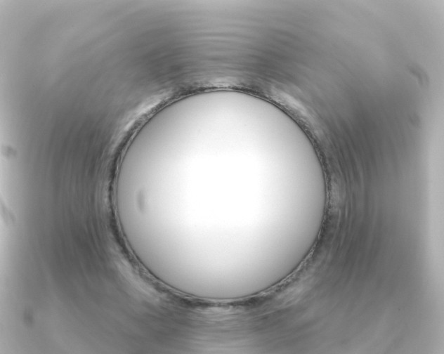X0000091350394200708101041