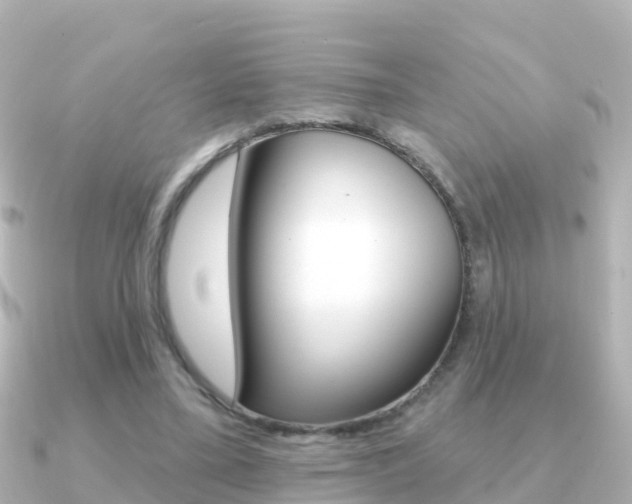 X0000091350395200708101041