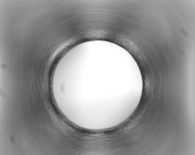 X0000091350396200708101041