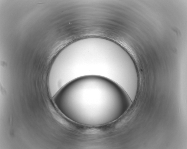 X0000091350397200708101041