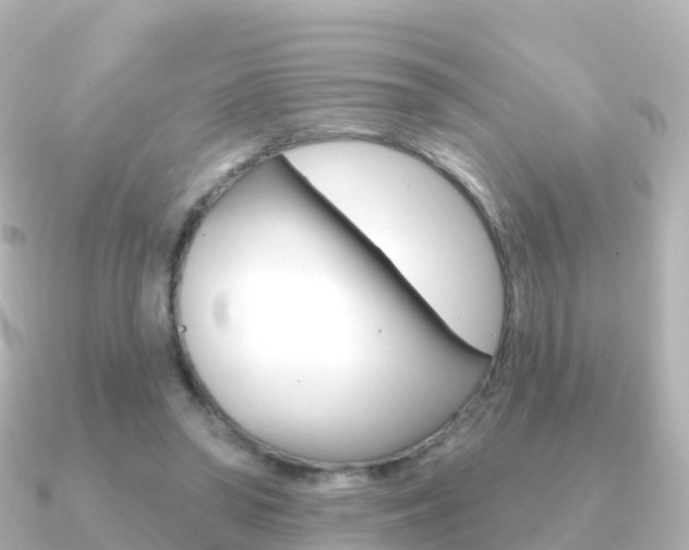 X0000091350398200708101040