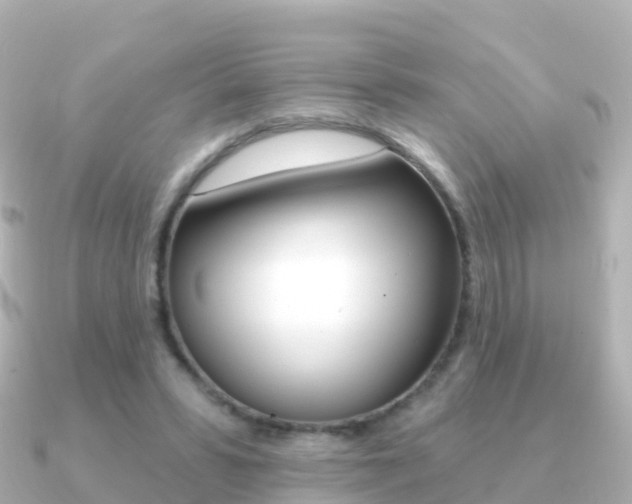 X0000091350399200708101040