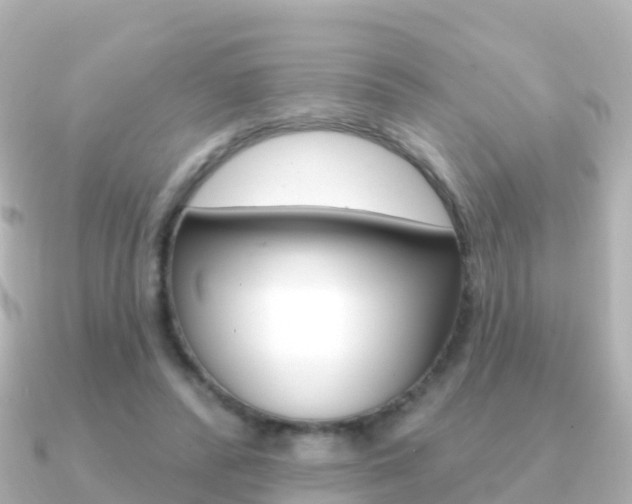 X0000091350400200708101040