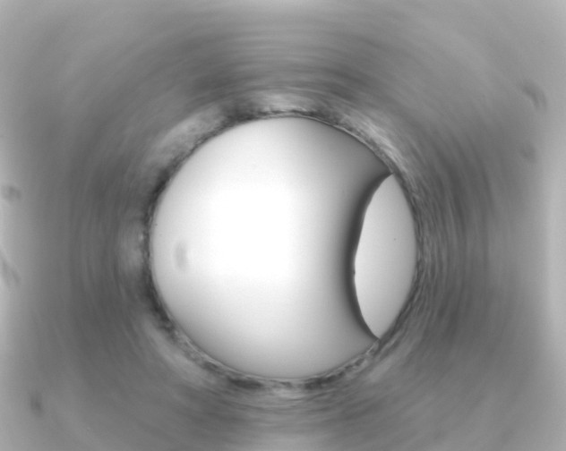 X0000091350402200708101040