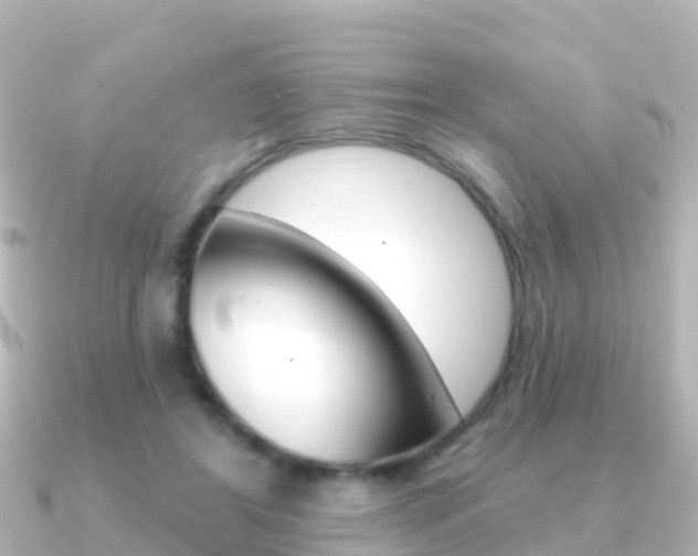 X0000091350404200708101040