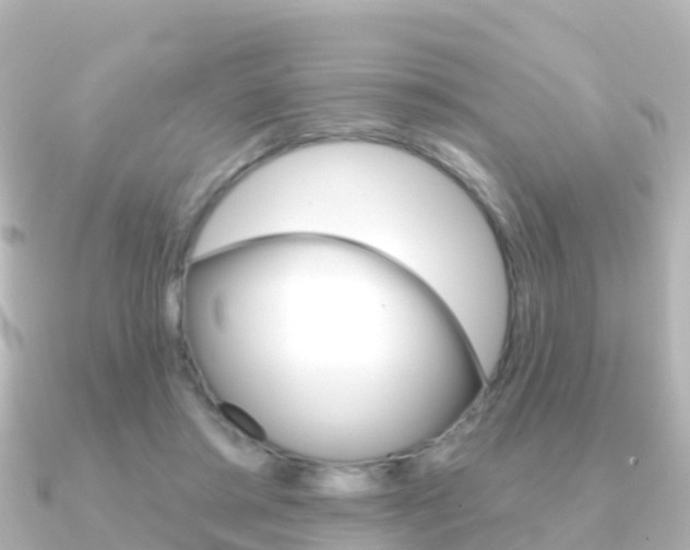 X0000091350405200708101040