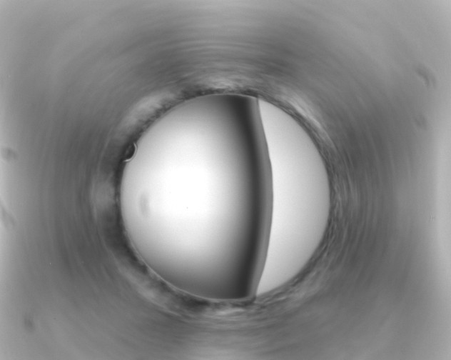 X0000091350407200708101040