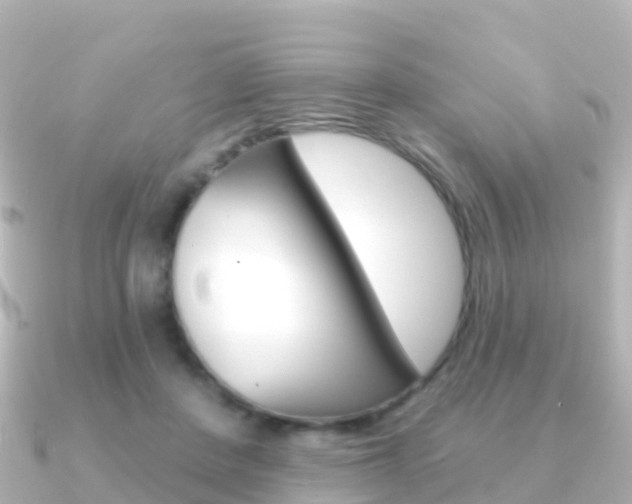 X0000091350408200708101040