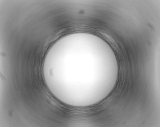 X0000091350409200708101040