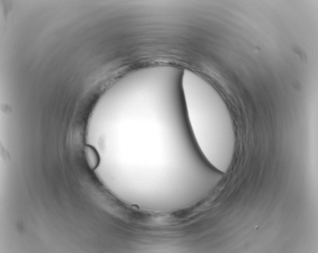 X0000091350410200708101040