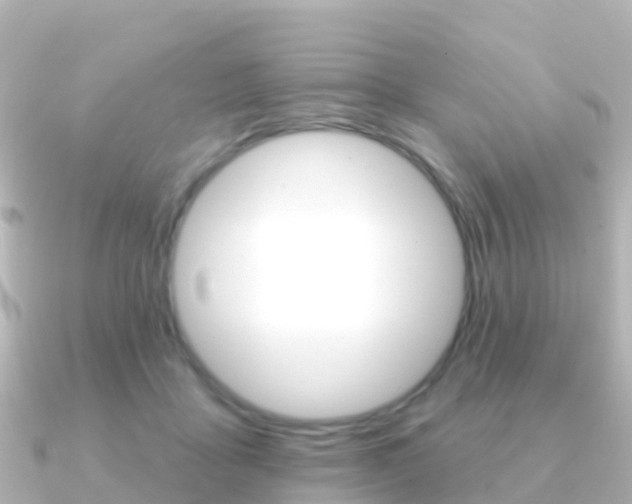 X0000091350411200708101040