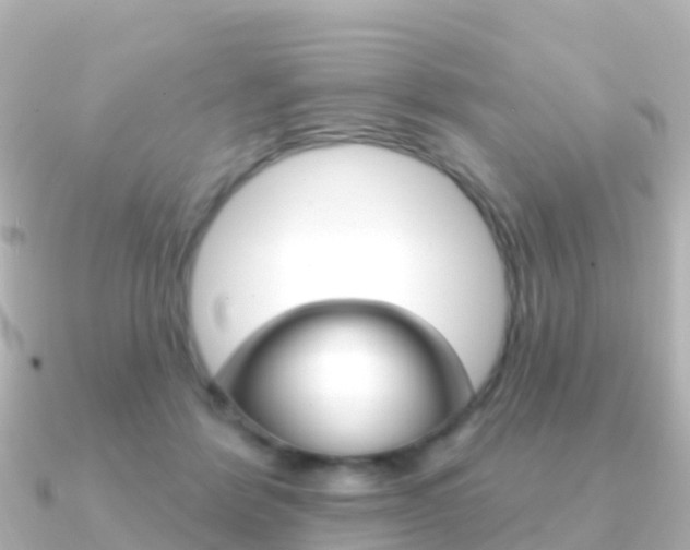 X0000091350412200708101040