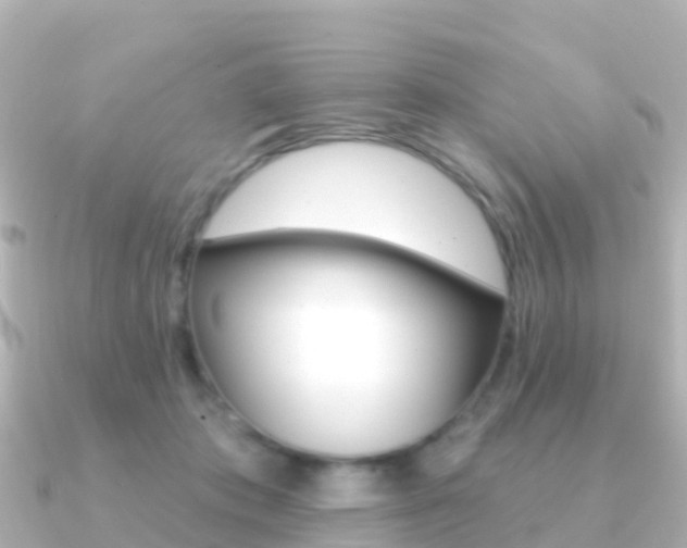 X0000091350413200708101040