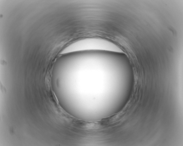 X0000091350415200708101040