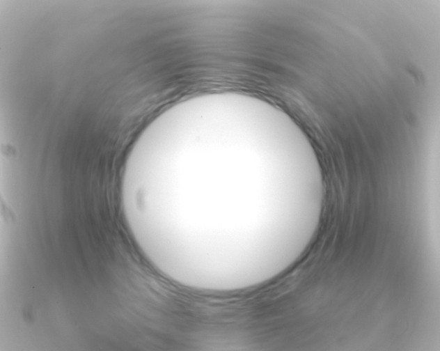 X0000091350416200708101040