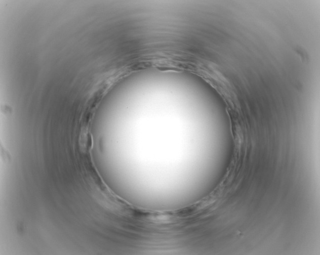 X0000091350419200708101040