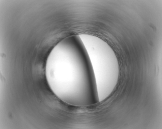 X0000091350420200708101040