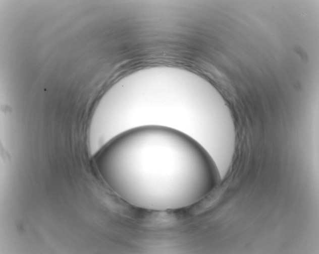 X0000091350421200708101040