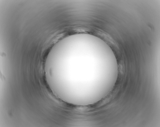X0000091350422200708101040
