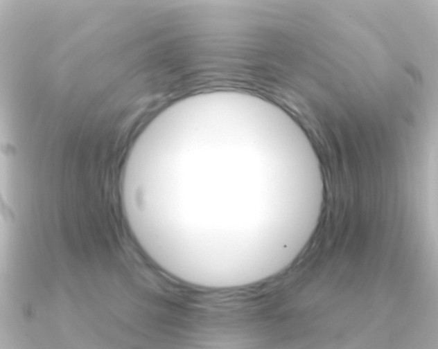 X0000091350423200708101040