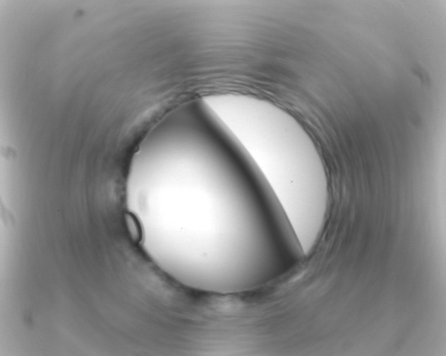 X0000091350424200708101040