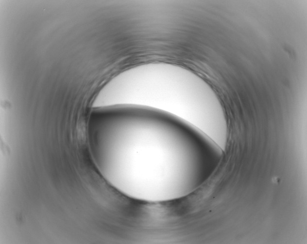 X0000091350425200708101040