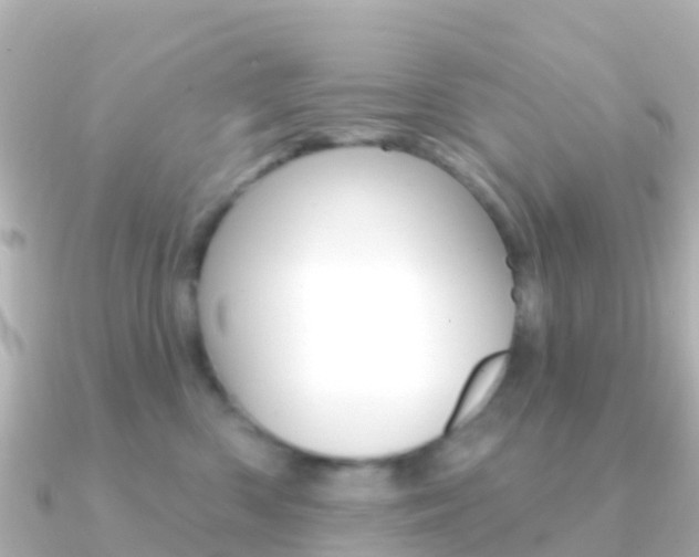 X0000091350426200708101040