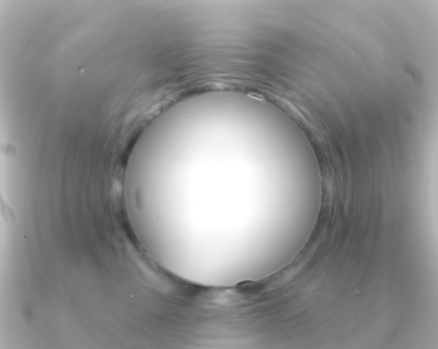 X0000091350427200708101040