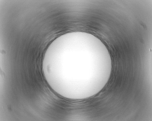 X0000091350428200708101040