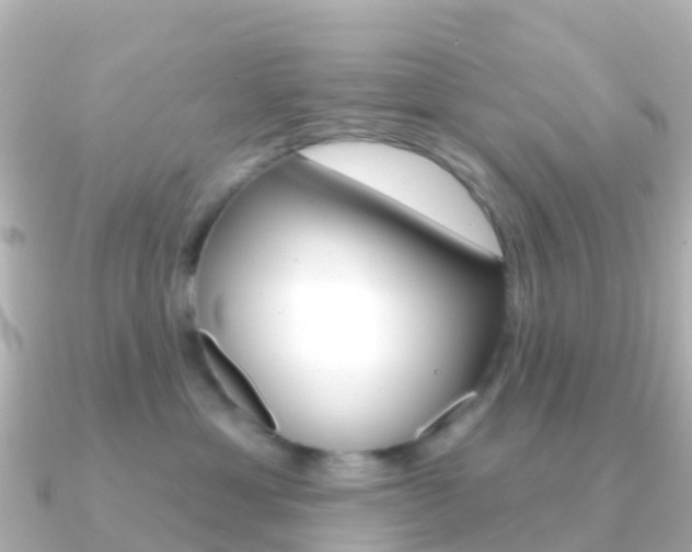 X0000091350429200708101040