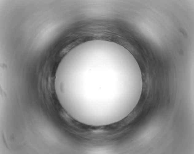 X0000091350430200708101040