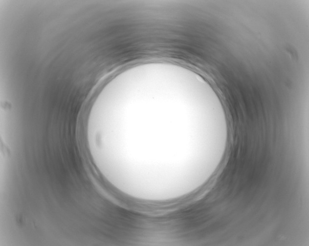X0000091350431200708101040