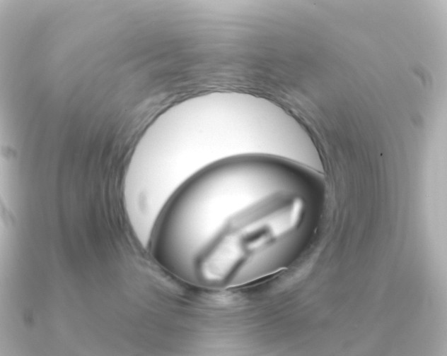 X0000091350432200708101040