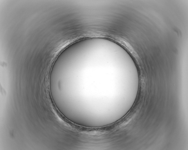 X0000091350433200708101040
