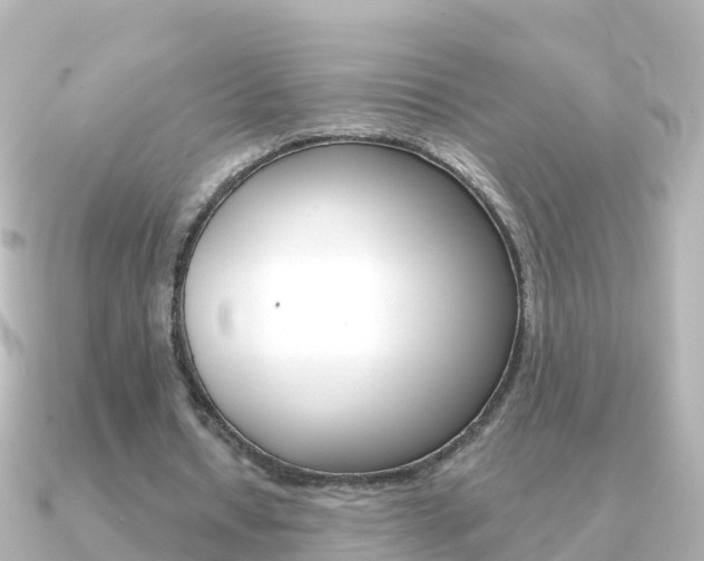 X0000091350434200708101040