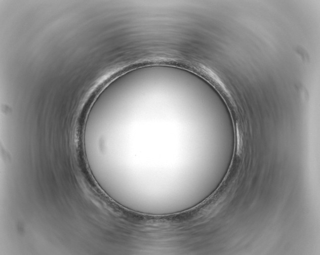 X0000091350435200708101040