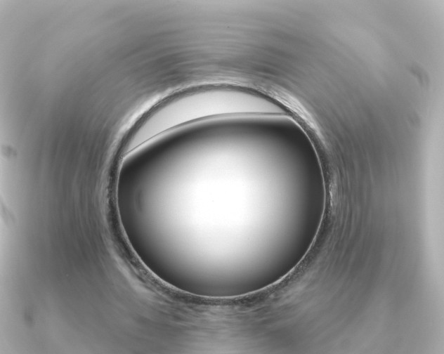 X0000091350436200708101040