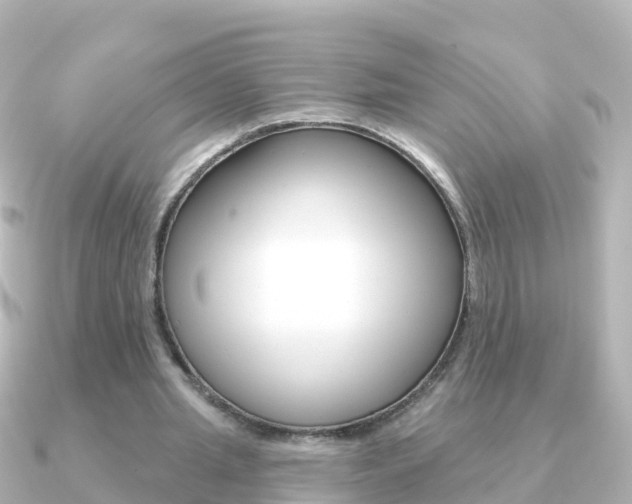 X0000091350437200708101040