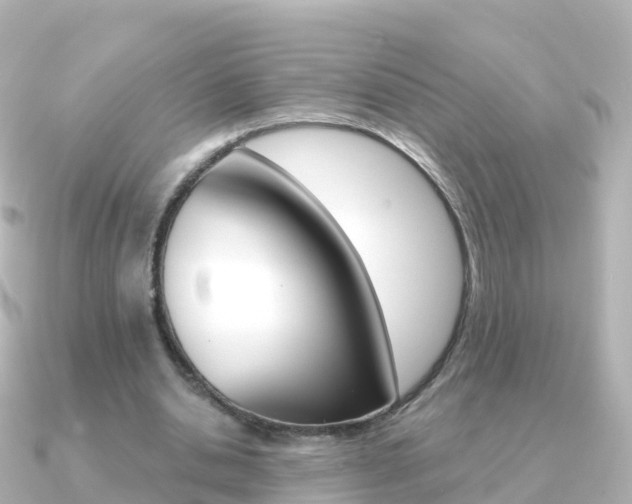 X0000091350438200708101040