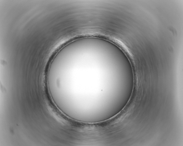 X0000091350439200708101040