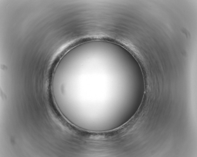 X0000091350440200708101040
