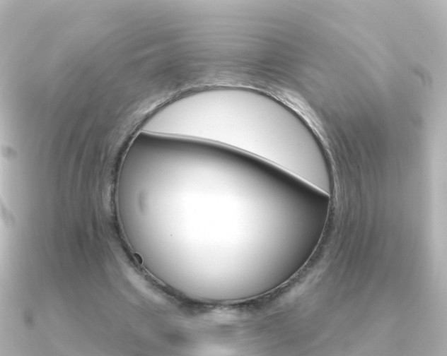X0000091350441200708101040