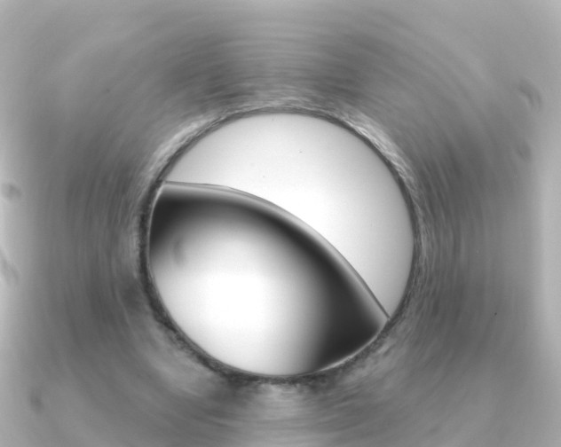 X0000091350442200708101040